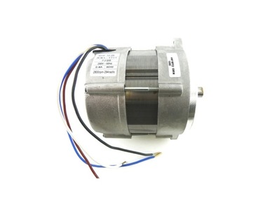 Электродвигатель RHE 150 Вт (602SE) 3002851-RL